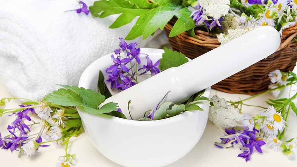 Heilpflanzen und natürliche Arzneien aus der Apotheke Verschiedene Heilpflanzen, Blüten und frische Kräuter neben und in einer Porzellanreibschale mit Pistill – Symbolbild für pflanzliche Arzneimittel und Naturheilkunde.